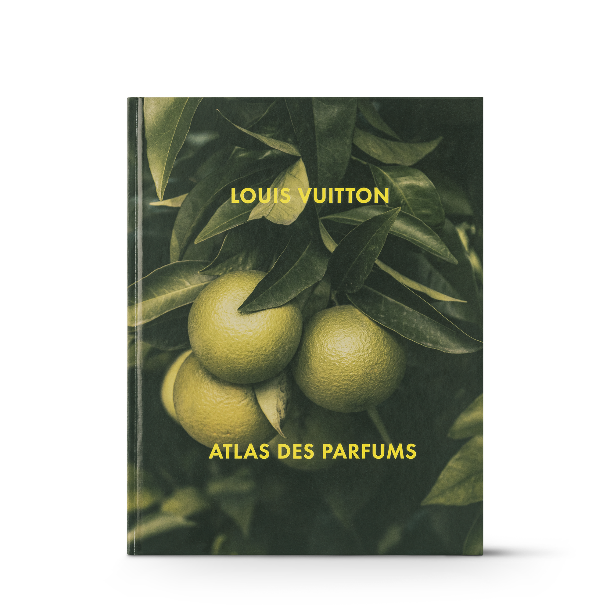 louis-vuitton-louis-vuitton:-a